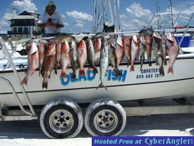 Click to Enlarge Photo