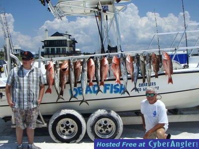 Click to Enlarge Photo