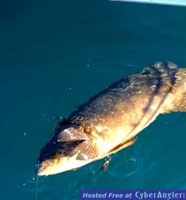 Click to Enlarge Photo