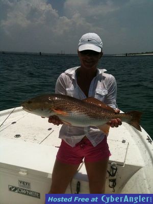 Click to Enlarge Photo