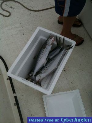 Click to Enlarge Photo