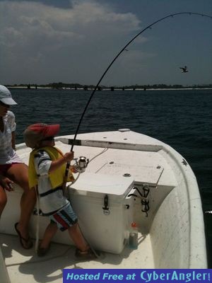 Click to Enlarge Photo