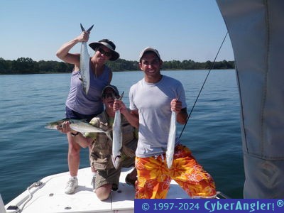 Click to Enlarge Photo