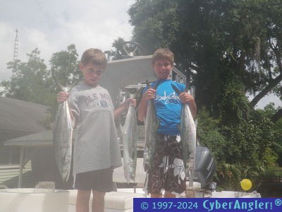 Click to Enlarge Photo