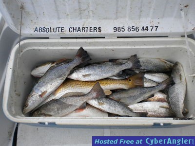 Click to Enlarge Photo