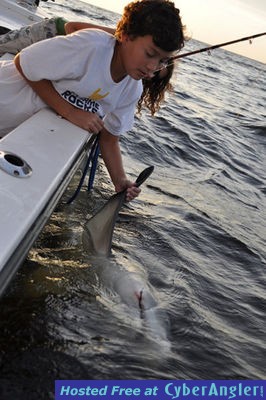 Click to Enlarge Photo