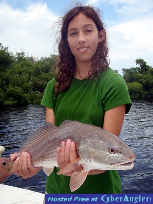 Click to Enlarge Photo