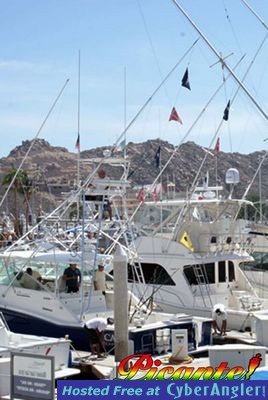 Click to Enlarge Photo