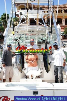 Click to Enlarge Photo