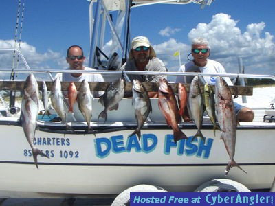 Click to Enlarge Photo