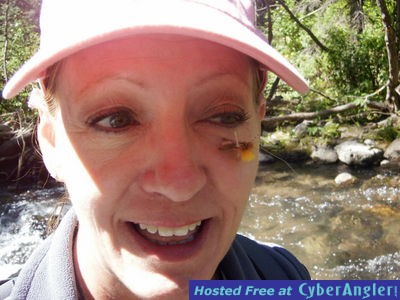 Click to Enlarge Photo