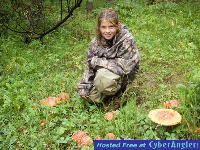 Click to Enlarge Photo