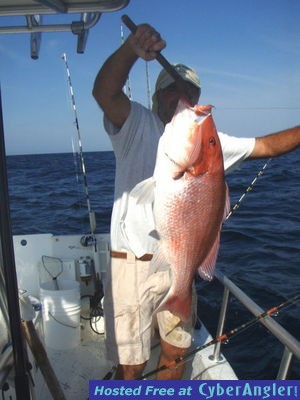 Click to Enlarge Photo