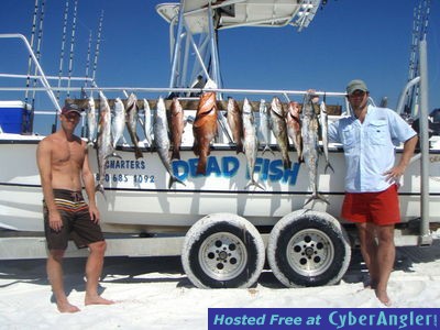 Click to Enlarge Photo