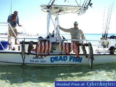 Click to Enlarge Photo