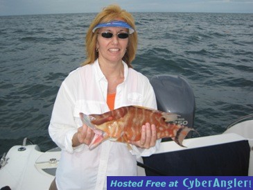 Click to Enlarge Photo