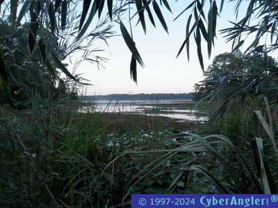 Click to Enlarge Photo