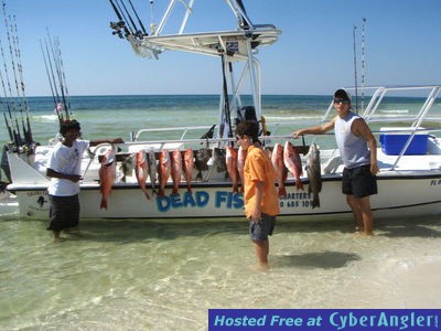 Click to Enlarge Photo