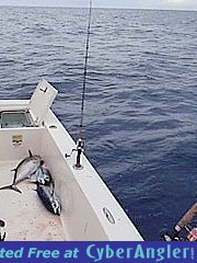 Click to Enlarge Photo