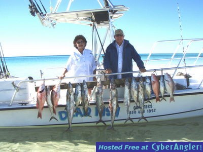 Click to Enlarge Photo