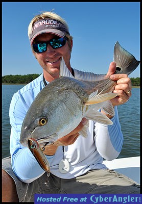 Click to Enlarge Photo