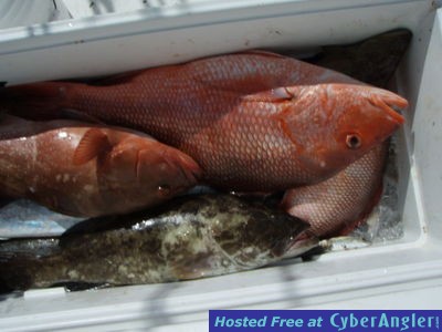 Click to Enlarge Photo