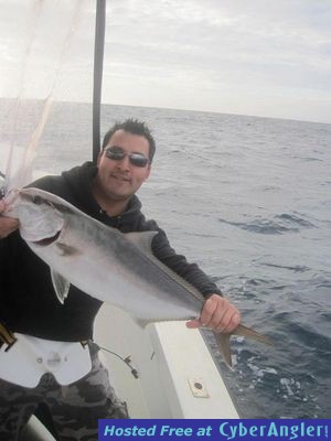 Click to Enlarge Photo