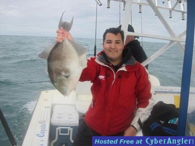 Click to Enlarge Photo