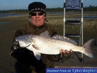 Click to Enlarge Photo