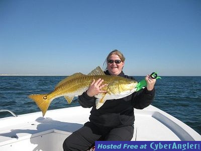 Click to Enlarge Photo