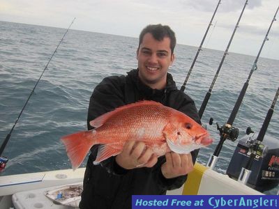 Click to Enlarge Photo