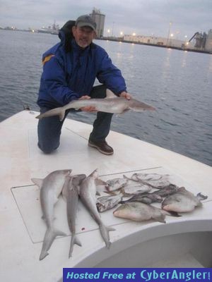 Click to Enlarge Photo