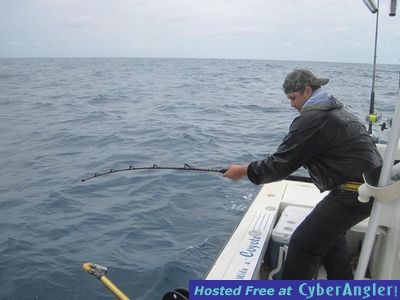 Click to Enlarge Photo