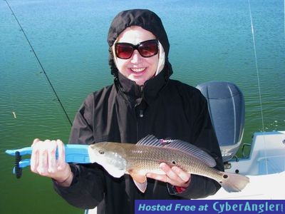 Click to Enlarge Photo