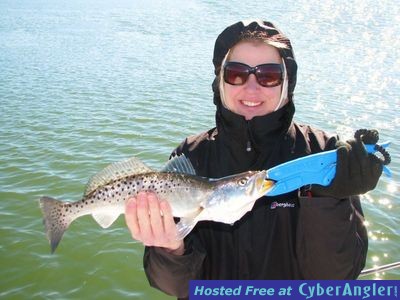 Click to Enlarge Photo