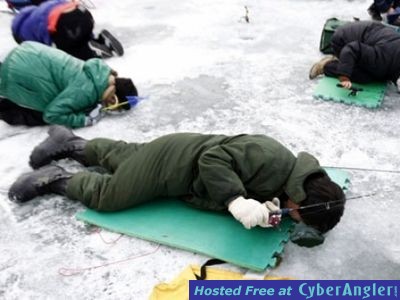 Click to Enlarge Photo