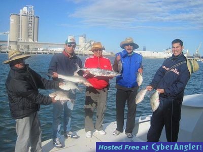 Click to Enlarge Photo