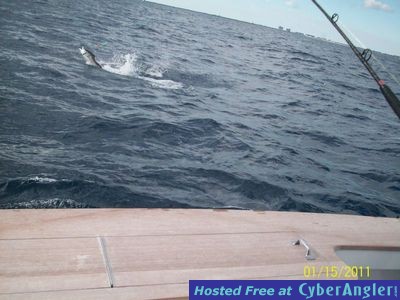 Click to Enlarge Photo