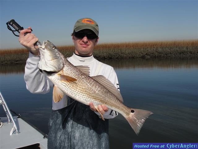 Click to Enlarge Photo