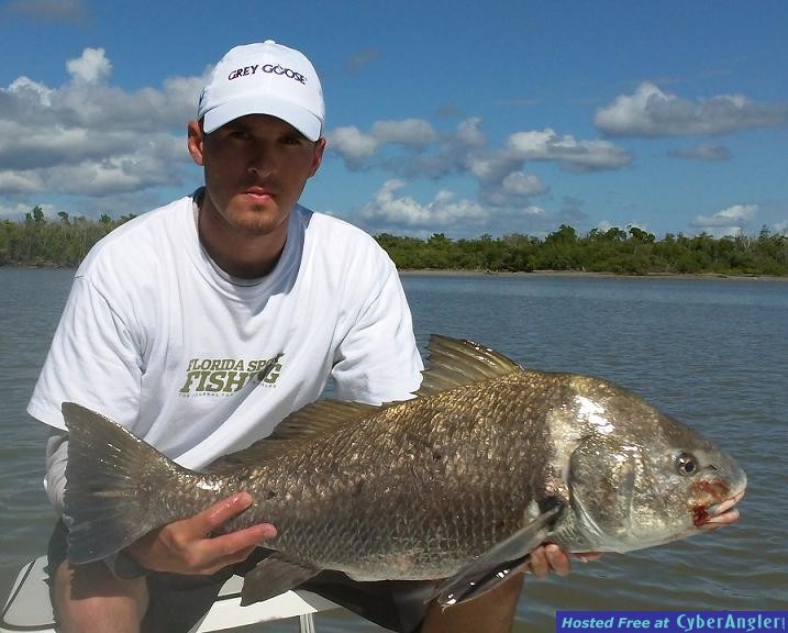 Click to Enlarge Photo