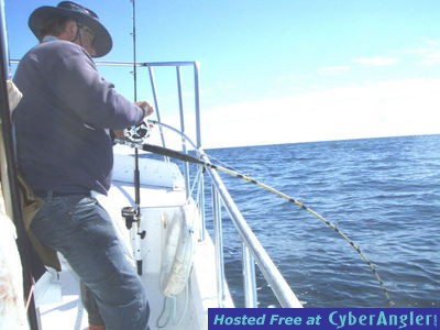 Click to Enlarge Photo