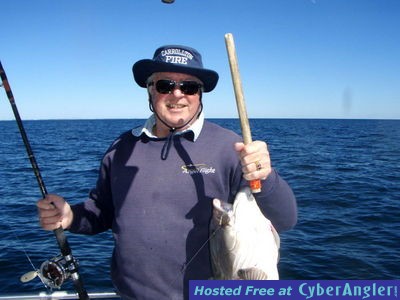 Click to Enlarge Photo