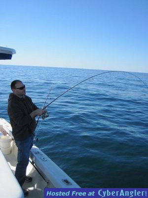 Click to Enlarge Photo