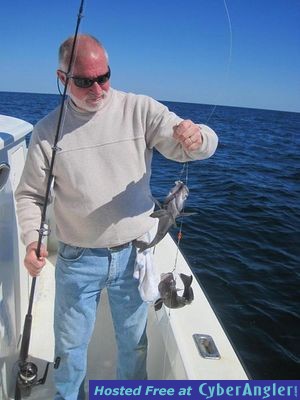 Click to Enlarge Photo