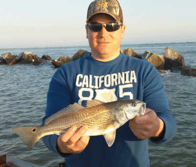 Click to Enlarge Photo