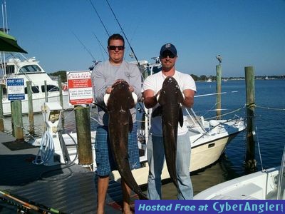 Click to Enlarge Photo