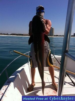 Click to Enlarge Photo