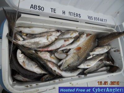 Click to Enlarge Photo