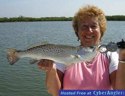 Click to Enlarge Photo