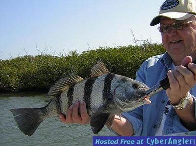 Click to Enlarge Photo